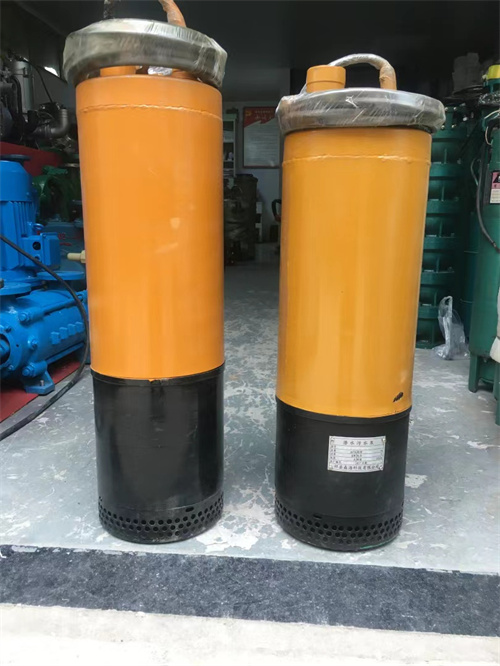 陝西(xi)潛污泵(bèng)